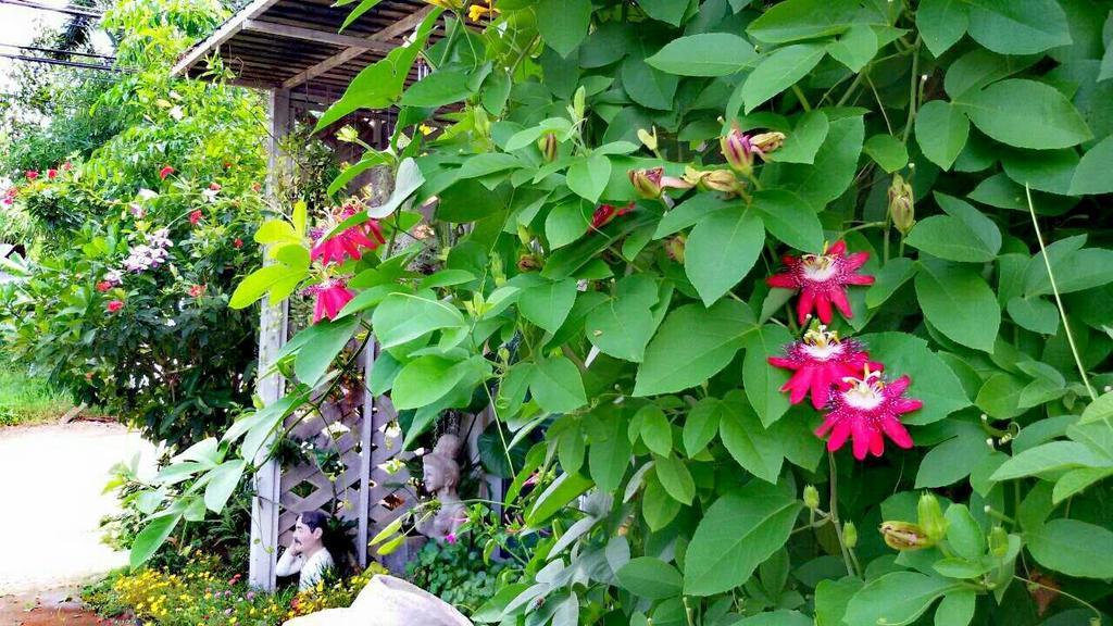 Lampang Lanna Home Bagian luar foto