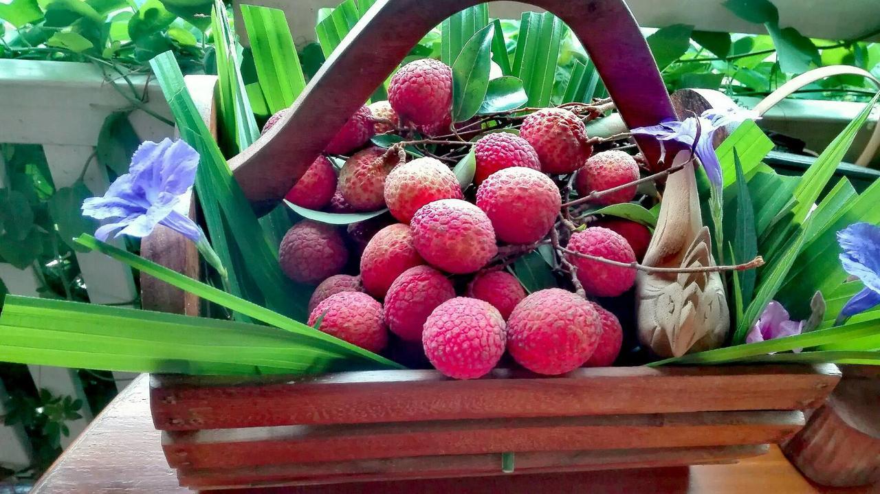 Lampang Lanna Home Bagian luar foto